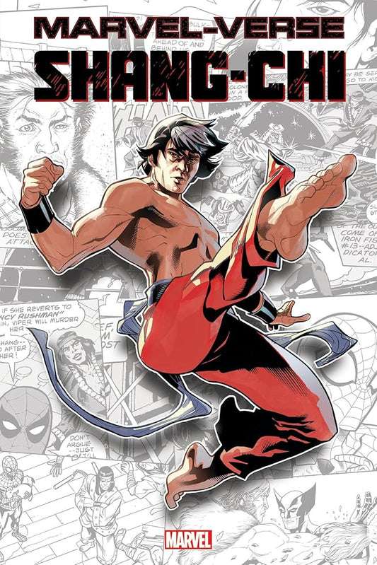 MARVEL-VERSE: SHANG-CHI cover image