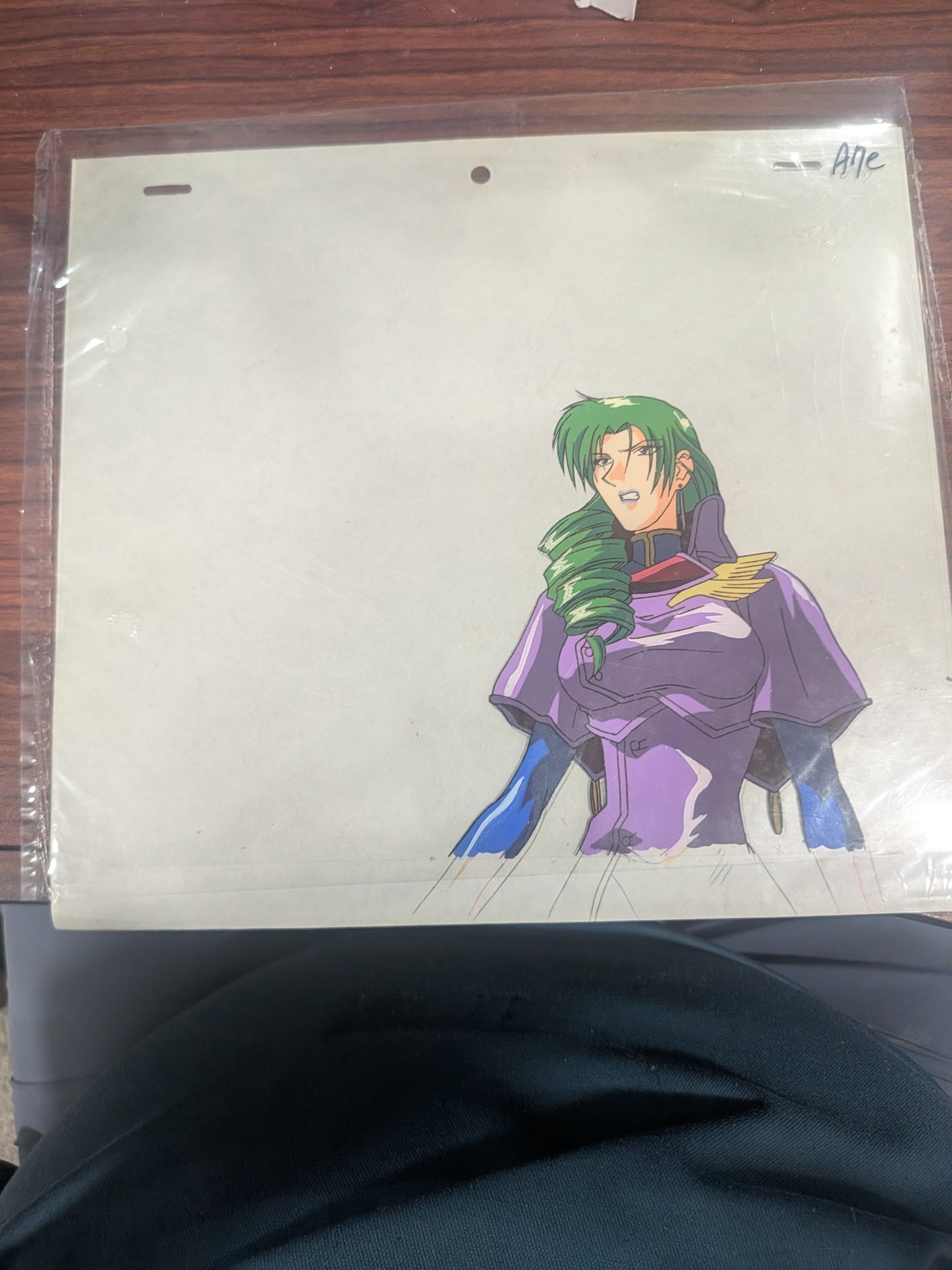 Gall Force - Pfizer Cel and drawing