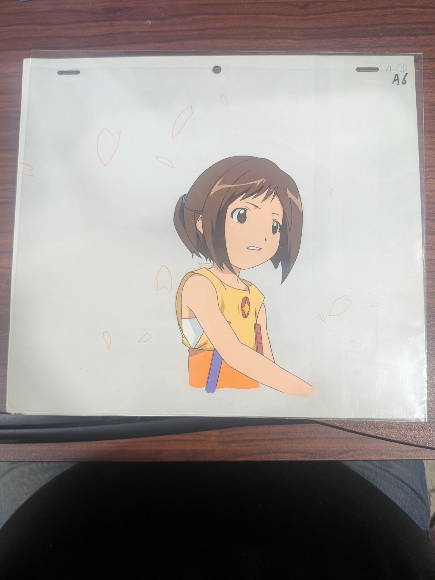 Figure 17: Tsubasa & Hikari - Tsubasa Shiina Cel