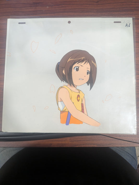 Figure 17: Tsubasa & Hikari - Tsubasa Shiina Cel